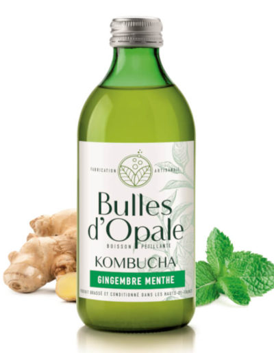 Gingembre menthe, Kombucha Bulles d'Opale