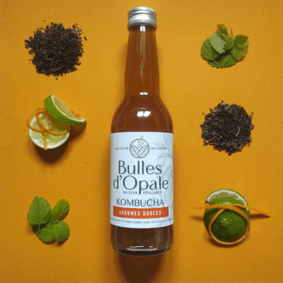 Kombucha Agrumes Douces