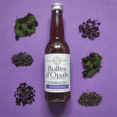 Kombucha Fruits des bois