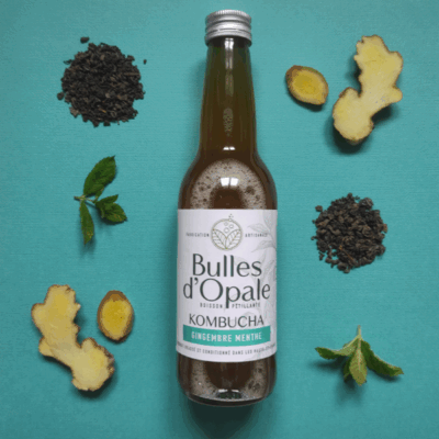 Kombucha Menthe Gingembre
