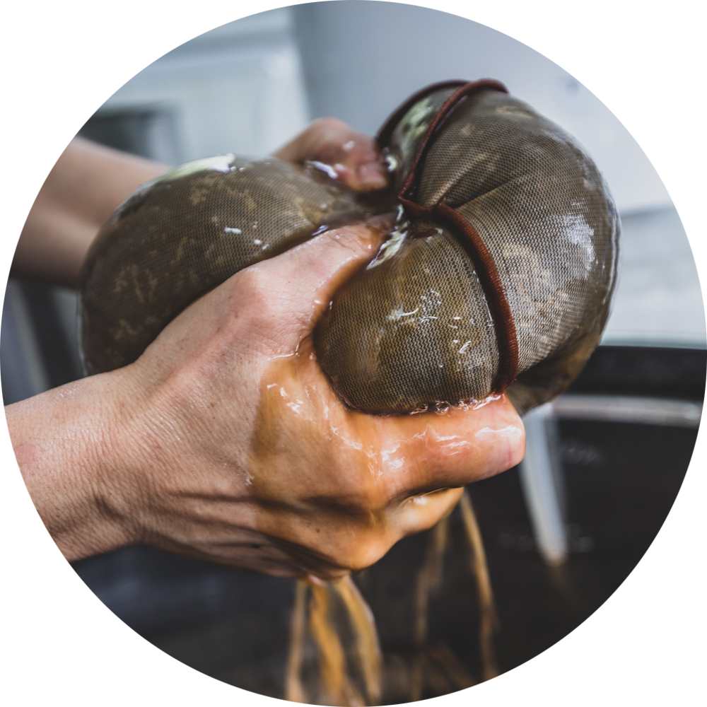 Main pressant un sac de thé