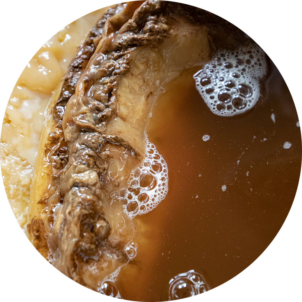SCOBY