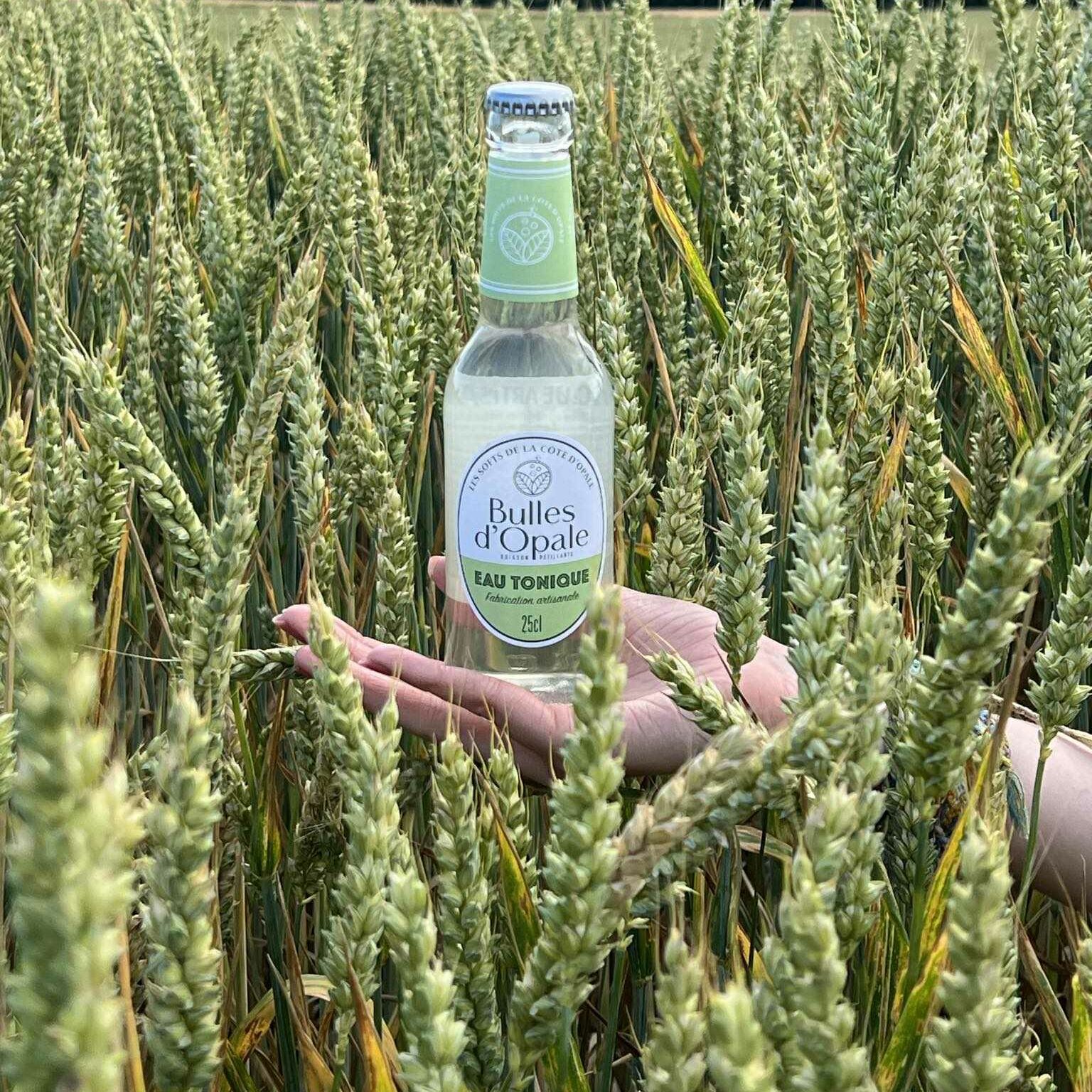 Bouteille Eau tonique Bulles d'Opale dans un champ