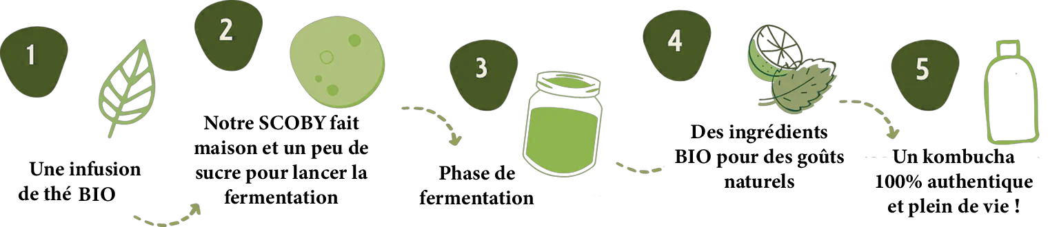 schéma kombucha